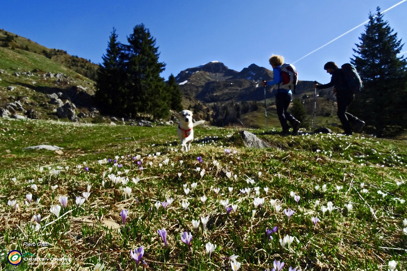 12 Saliamo verso i Campelli di Schilpario.JPG -                                